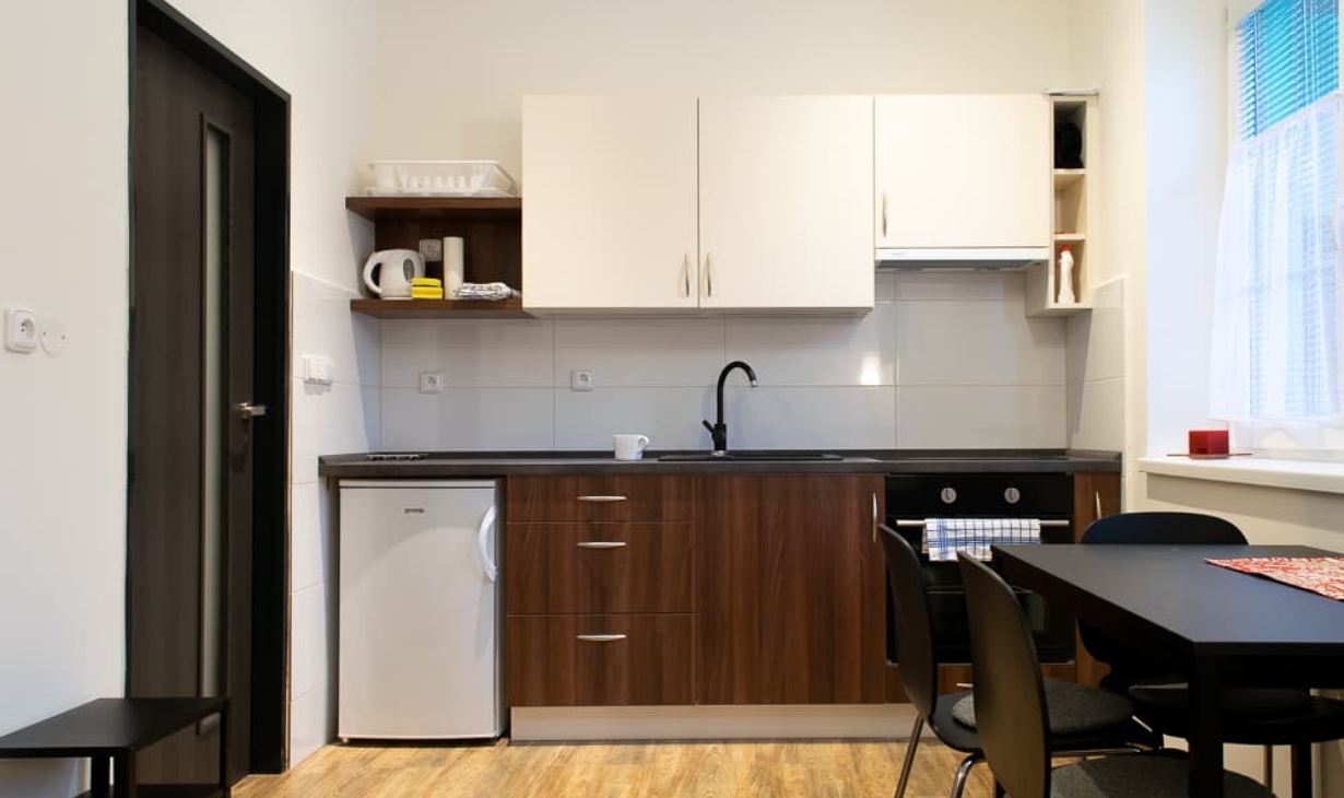 Plně vybavená kuchyň v apartmánu